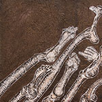 135 x 115 cm
