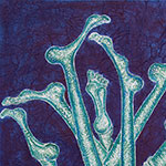 180 x 100 cm