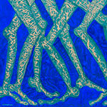100 x 120 cm