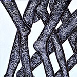 160 x 95 cm