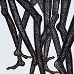 180 x 120 cm
