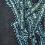 180 x 120 cm