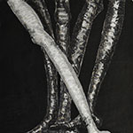 69 x 49 cm