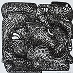10 x 10 cm