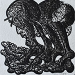 10 x 10 cm